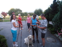 Nordic Walking entlang der Drau Nordic Walking entlang der Drau
